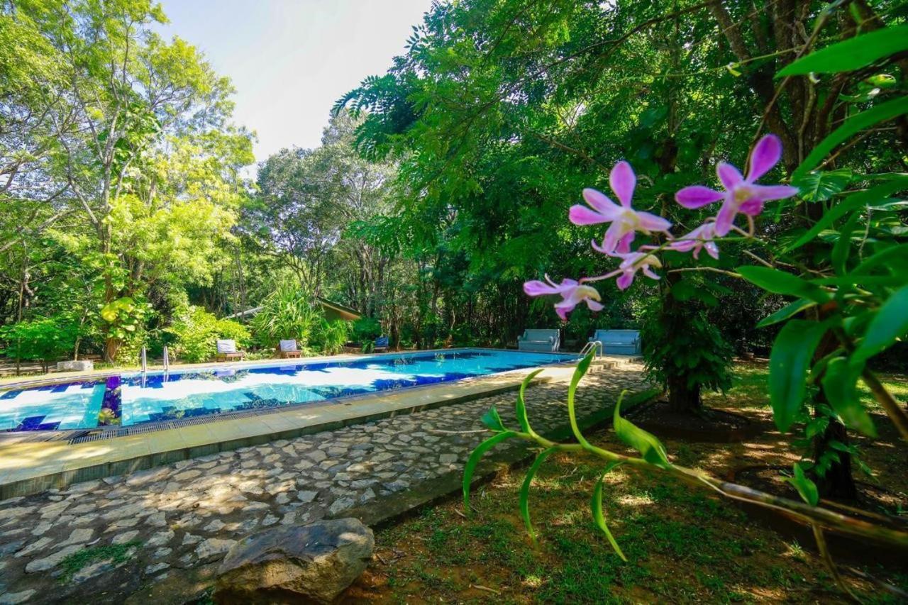 Jays Holiday Resort Habarana Extérieur photo