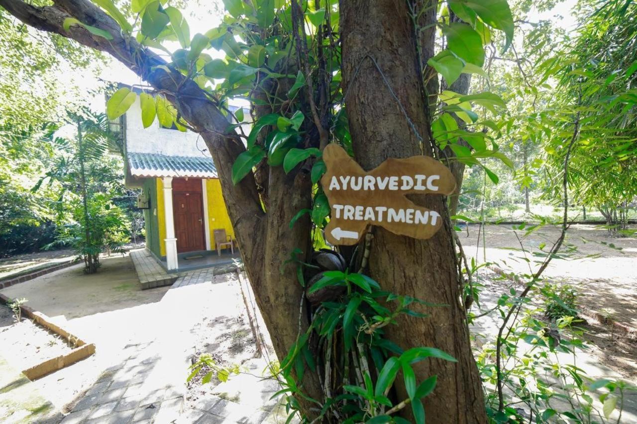 Jays Holiday Resort Habarana Extérieur photo