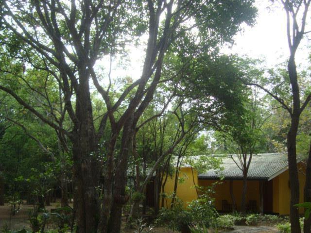 Jays Holiday Resort Habarana Extérieur photo