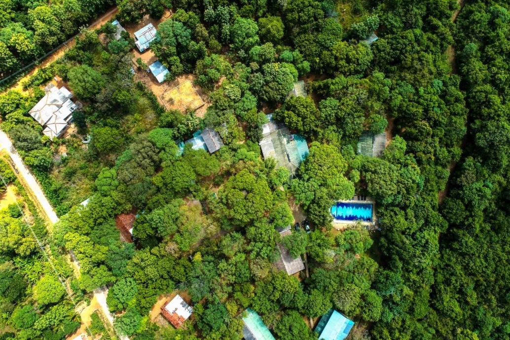 Jays Holiday Resort Habarana Extérieur photo
